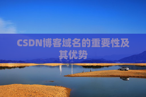 CSDN博客域名的重要性及其优势